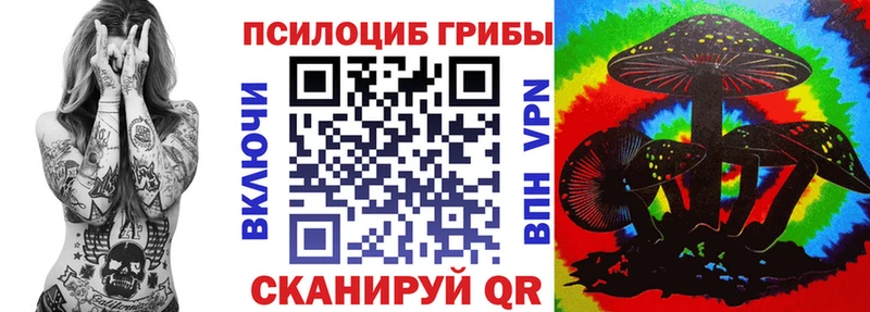 omg ССЫЛКА  Гай  Галлюциногенные грибы прущие грибы 